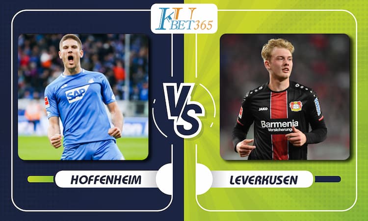 Hoffenheim vs Bayer 04 Leverkbsen