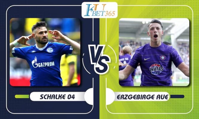 Schalke 04 vs Erzgebirge Aue