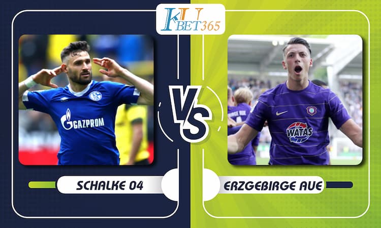Schalke 04 vs Erzgebirge Aue
